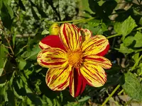 20170806_163209.jpg