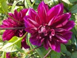 20170806_163226.jpg