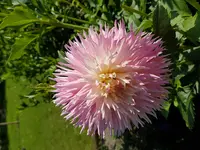 20170806_163231.webp