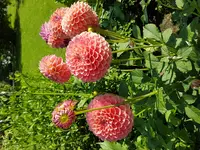 20170806_163235.jpg
