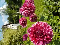 20170806_163242.webp