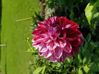 20170806_163247.jpg