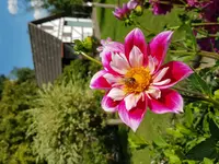 20170806_163304.jpg
