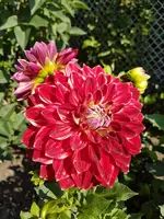 20170806_163034.webp