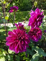 20170806_163123.jpg