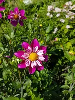 20170806_163202.webp