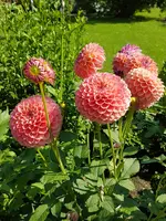 20170806_163235.jpg