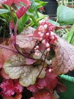 002_576x768.webp