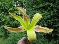 018_1024x768.JPG