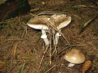 020_1024x768.webp