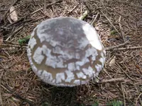 022_1024x768.webp