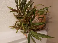 20170813_204432.jpg