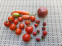 20170813_185208.webp