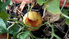 20170813_173551.2.webp