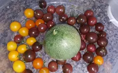 20170813_124609.2.webp