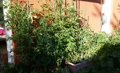 20170813_184618.2.webp