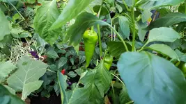 20170813_173248.2.webp