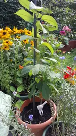 20170813_173156.2.webp