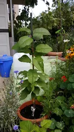 20170813_173204.2.webp