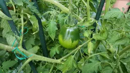 20170813_173341.2.webp