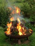 2017-08-13 Buchsfeuer.JPG