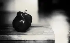 paprika.webp