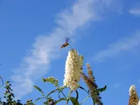 DSCN1889.webp