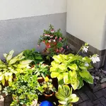 170813  Schattenecke.webp