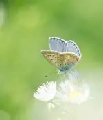 20170813-1 (4).webp