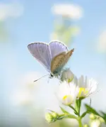20170813-1 (8).webp