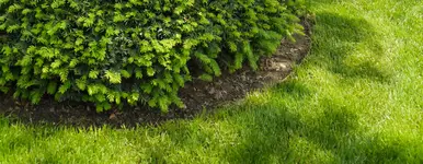 Garten_31.webp Garten_31.webp