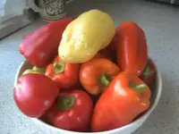 BILD8012.webp