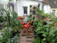 IMG_20170815_152407.webp
