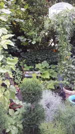 Screenshot_2017-08-15-12-09-48.webp