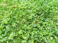 IMG_20170815_165422.webp