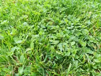 IMG_20170815_165522.webp