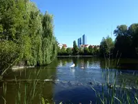 P1020586.webp