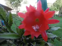P1010729.webp
