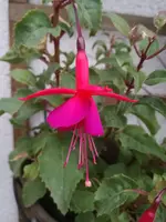 IMG_20170815_203259.webp