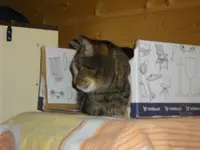 IMGP5207.webp