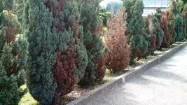 IMG_20170725_145814190.webp