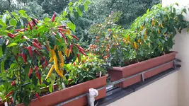 20170816_101138.jpg