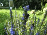 BILD8018.webp