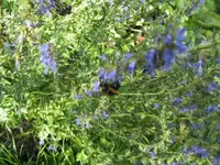 BILD8021.webp