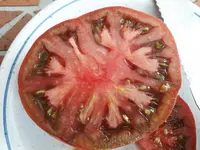 20170816_164207.webp