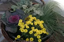Herbstzauber0508.webp