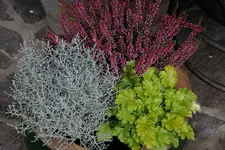 Herbstzauber1008.webp