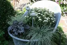Herbstzauber1012.webp
