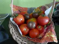 P1010454.webp