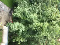 IMG_2127.jpg